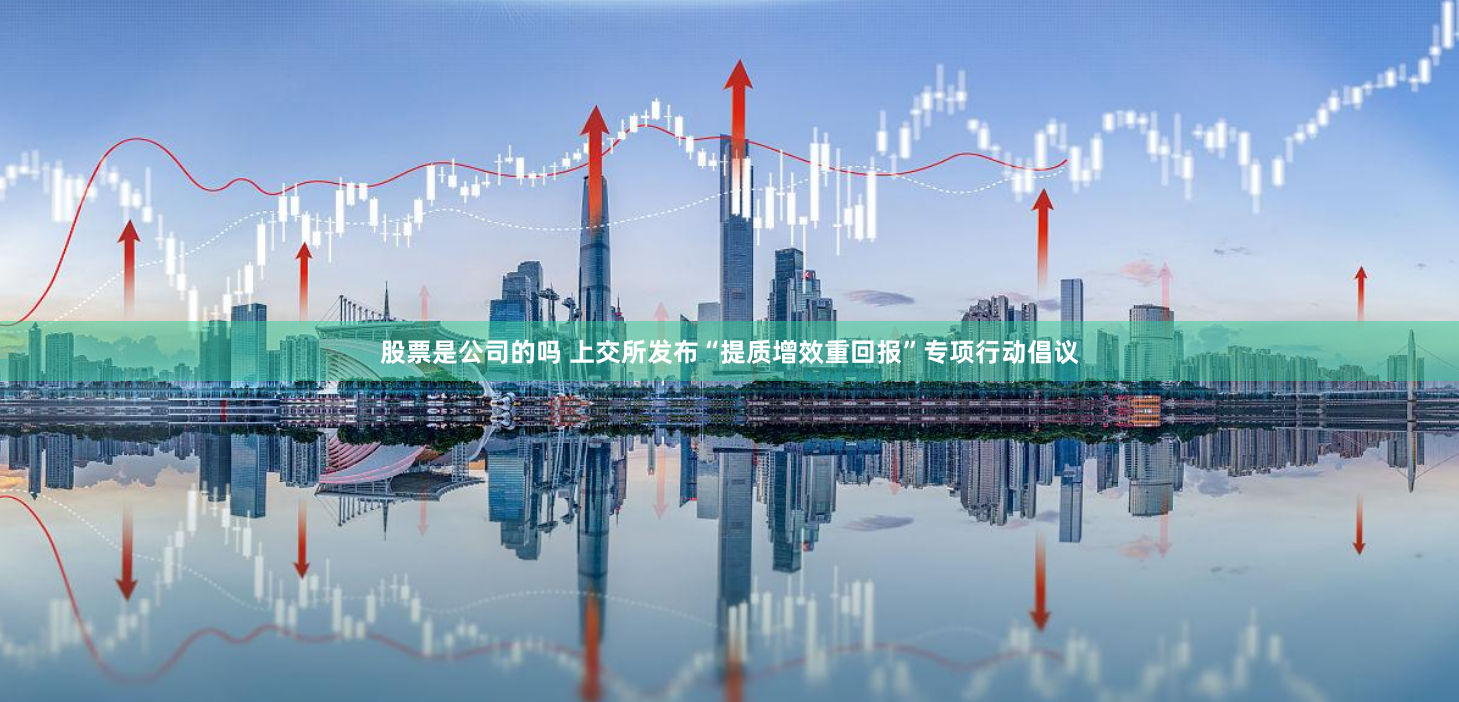 股票是公司的吗 上交所发布“提质增效重回报”专项行动倡议
